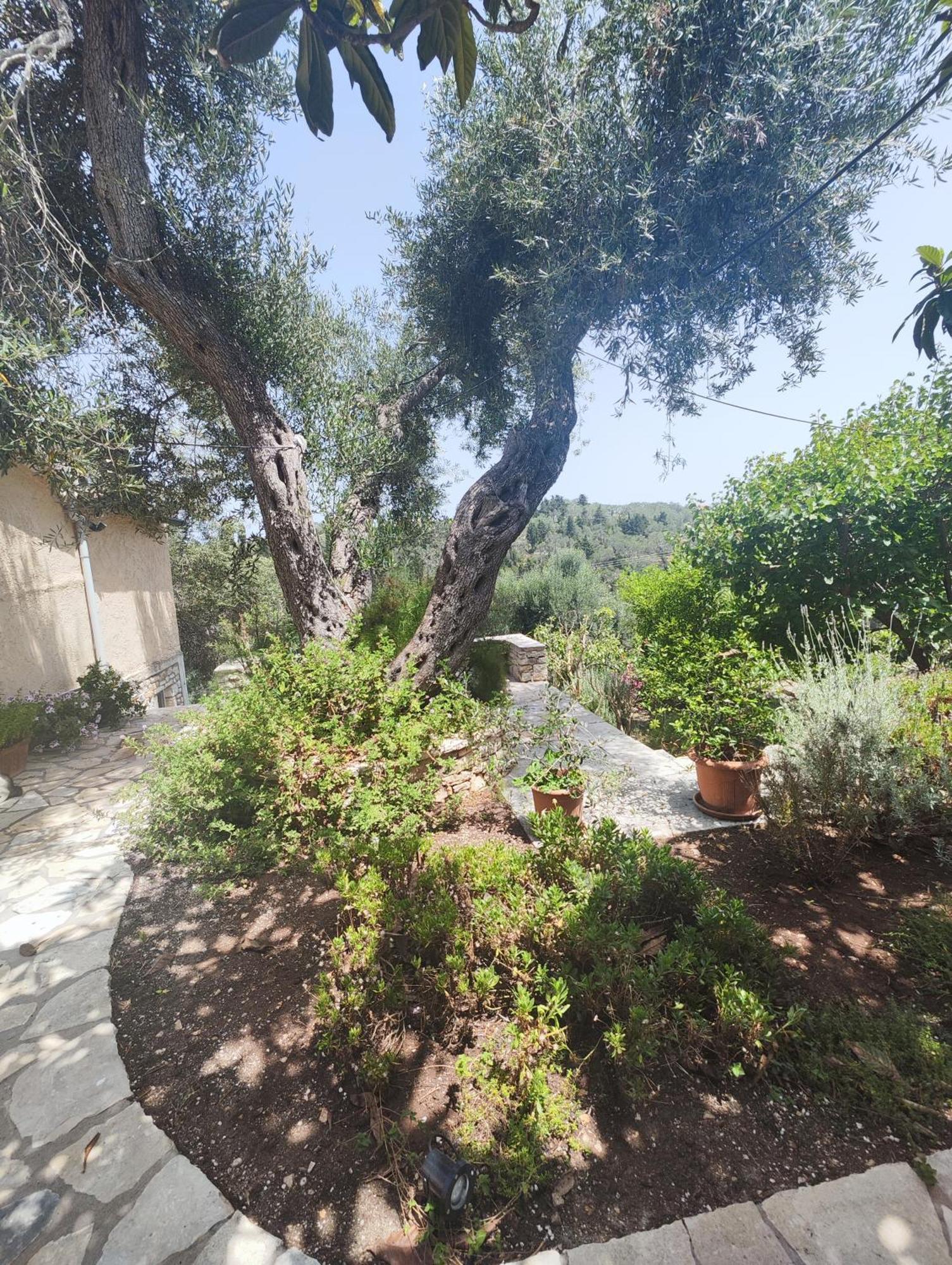 Lákka Rania'S Cottage מראה חיצוני תמונה