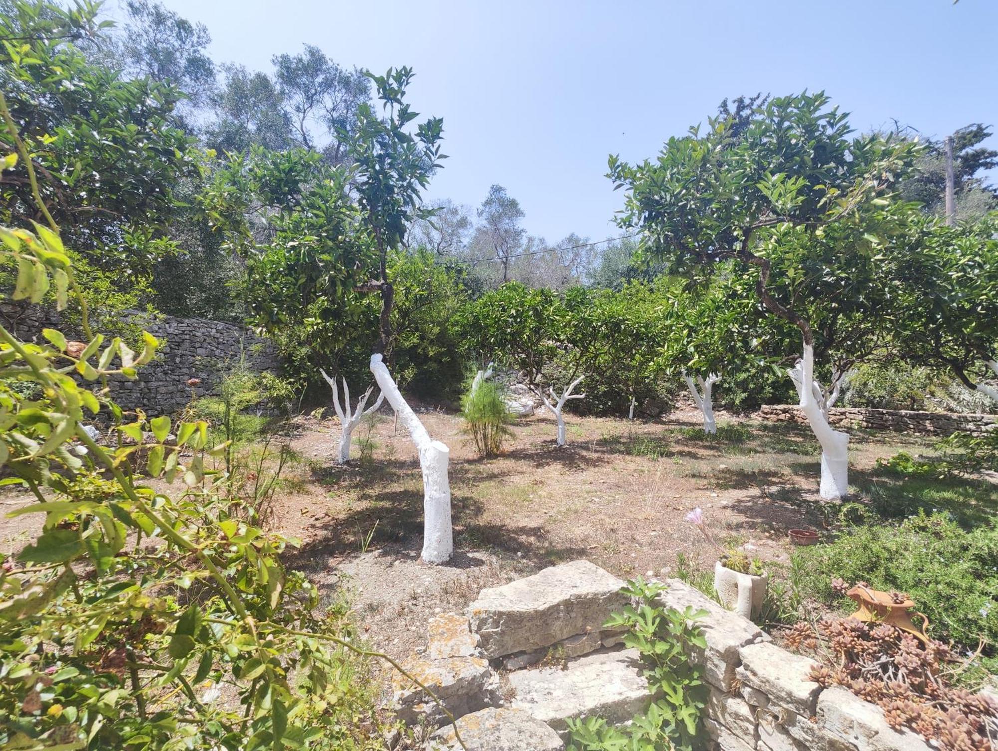 Lákka Rania'S Cottage מראה חיצוני תמונה