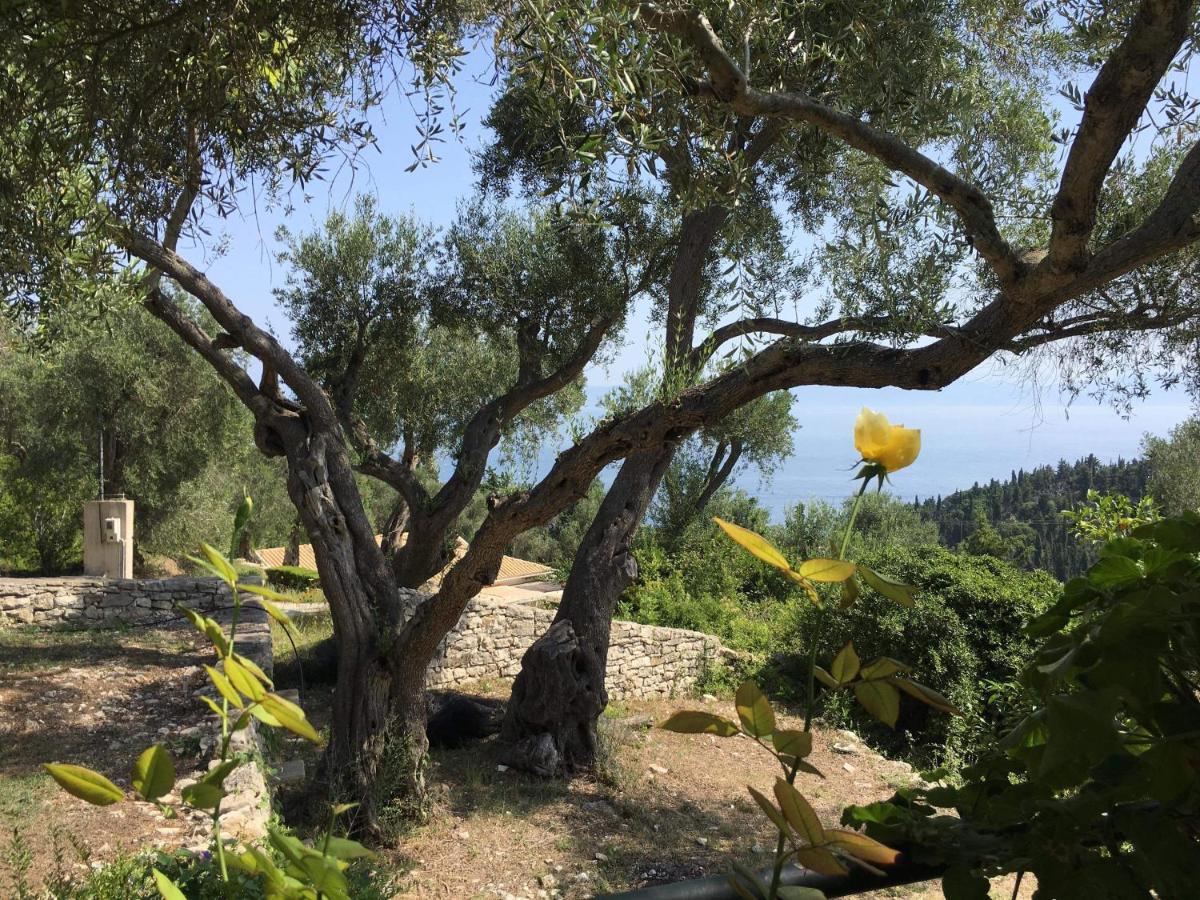 Lákka Rania'S Cottage מראה חיצוני תמונה